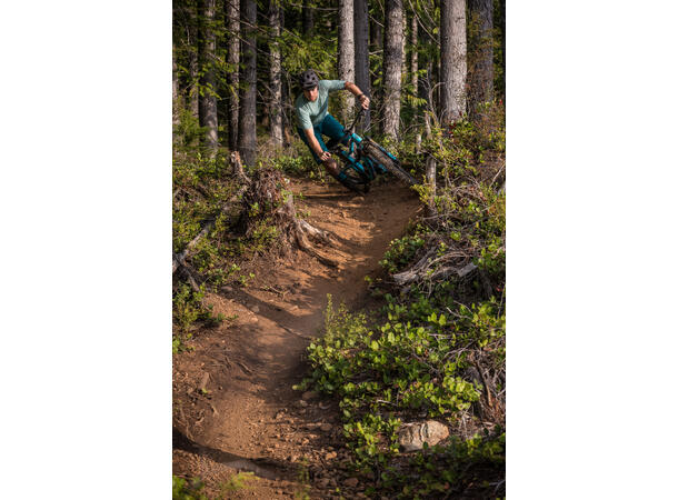 7Mesh Glidepath Short M's dark chocolate M 