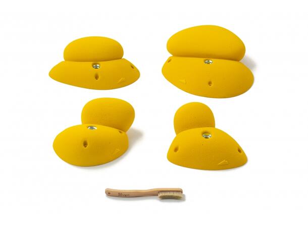 Squadra Bulb 5 violette 