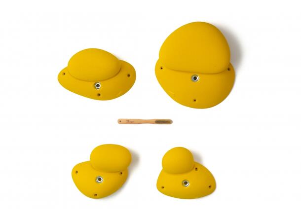 Squadra Bulb 5 violette 