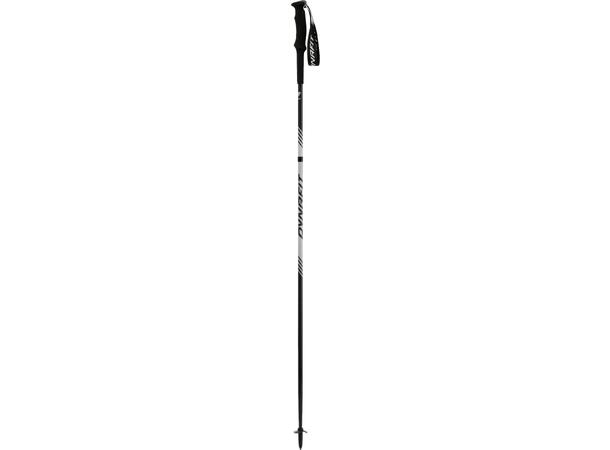 Dynafit Alpine Pro Pole nimbus 115cm