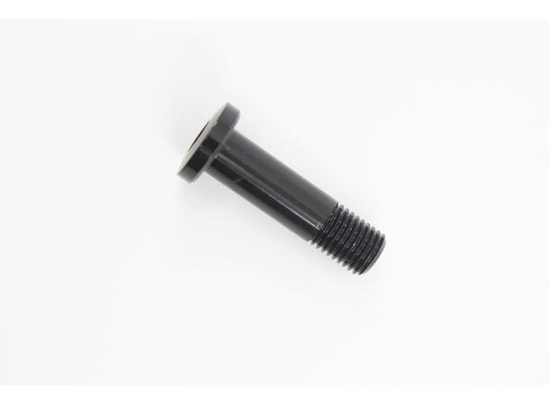 Rocky Mountain battery bolt Powerplay for Powerplay fra