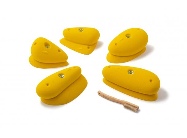 Squadra Bulb 1 violette 