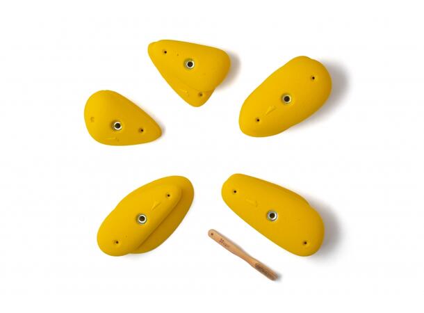 Squadra Bulb 1 violette 