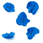 Flathold Rustic Flowers 017.04 sky blue 7 