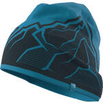 Dynafit Graphic Beanie frost UNI 58 