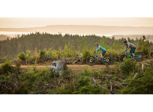 7Mesh Glidepath Short M's black M 