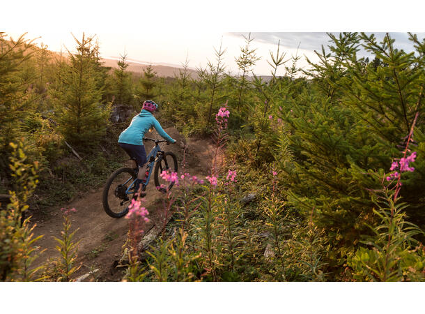 7Mesh Après Hoody W's