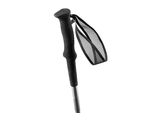 Dynafit Alpine Pole dawn 120cm 
