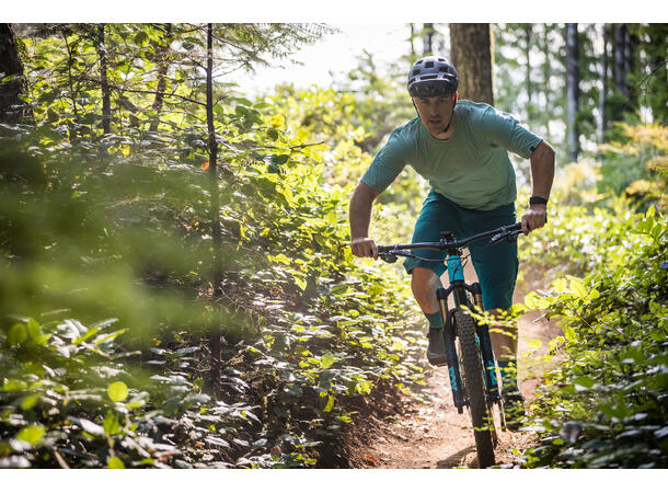 7Mesh Glidepath Short M's dark chocolate XS 