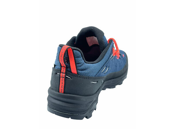 Salewa Alp Trainer 2 GTX W black/onyx UK 5