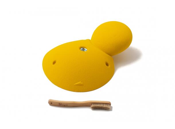 Squadra Bulb 4 violette 