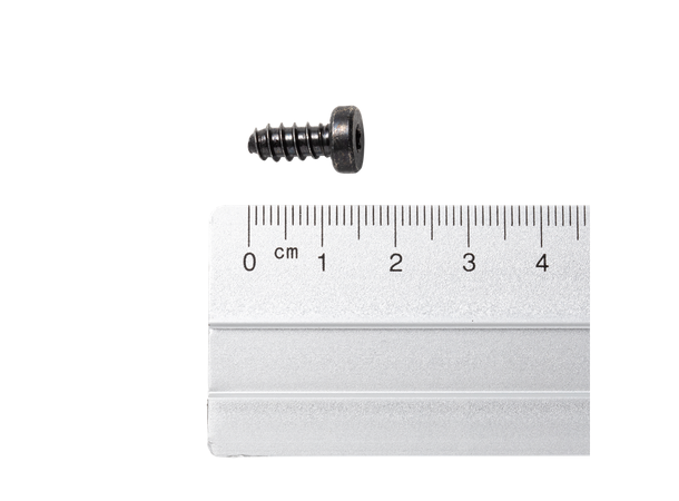 Dynafit Screw 15,5mm Torx 20 løse skruer - stk 