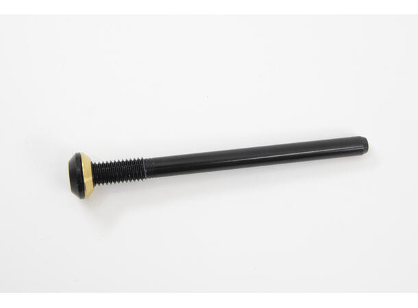 Rocky Mountain battery bolt Powerplay for Powerplay fra