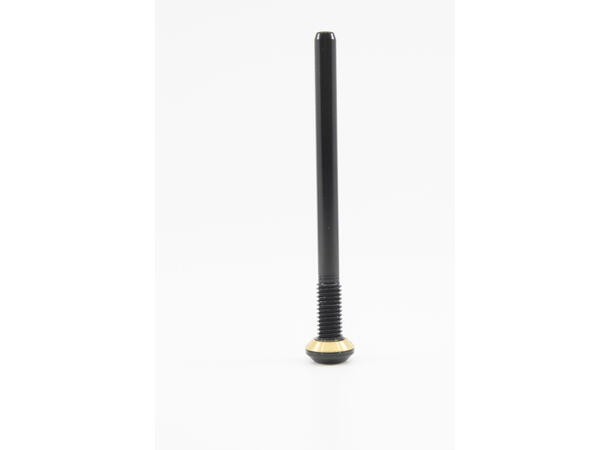 Rocky Mountain battery bolt Powerplay for Powerplay fra