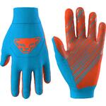 Dynafit Upcycled Thermal Gloves hawaiian blue XS 