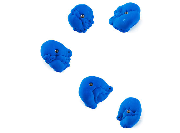 Flathold Organs 018.02 bright yellow 2 