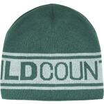 Wild Country Stamina light wool beanie green ivy