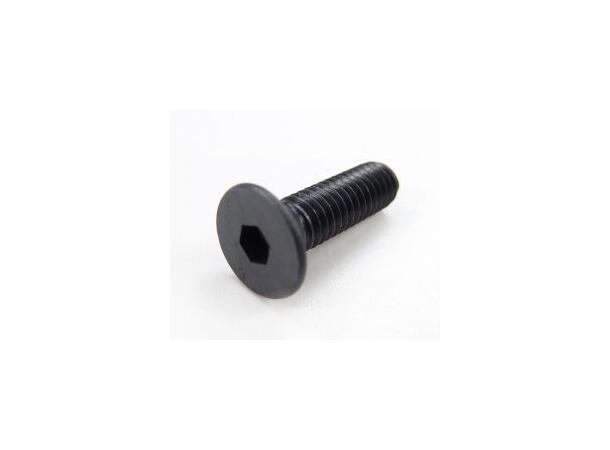 Rocky Mountain bolt Rocky bolt for powerplay M5-0.8x22mm 