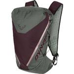 Dynafit Traverse 22 Backpack sage/burgundy L/XL 