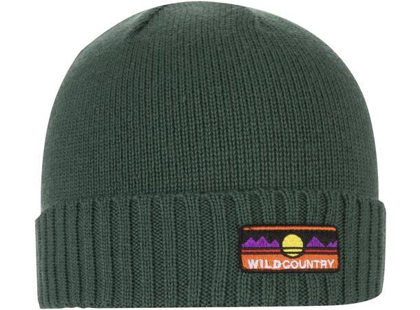 Wild Country Spotter beanie green ivy