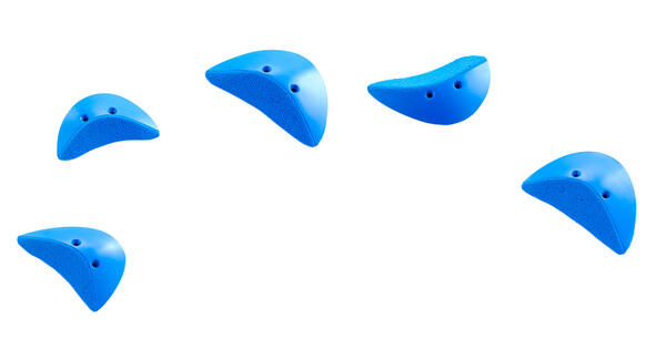 1081309