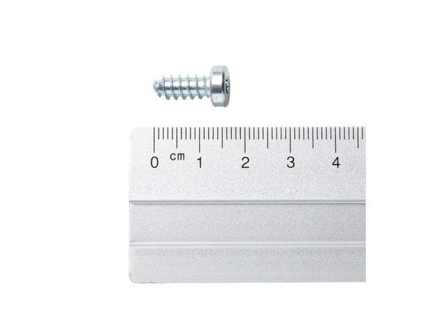 Dynafit Screw 16,5mm Torx 20 6pk 
