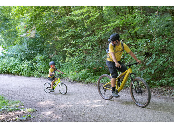 Kommit Bike Mount 