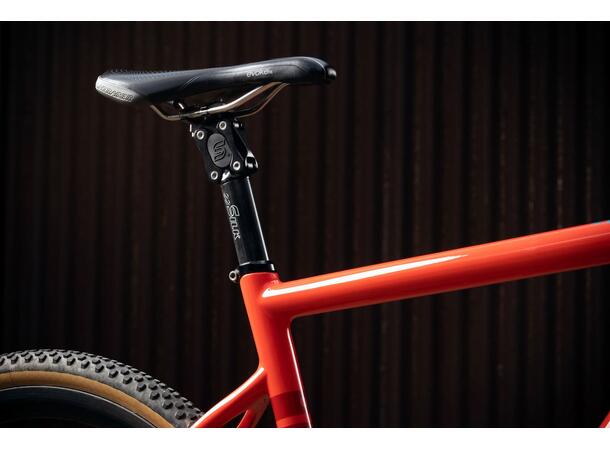 Cane Creek ee Silk+ Post aluminium 31,6 mm 