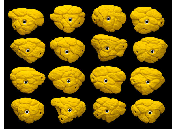Core Font Medium Jugs biscuit 