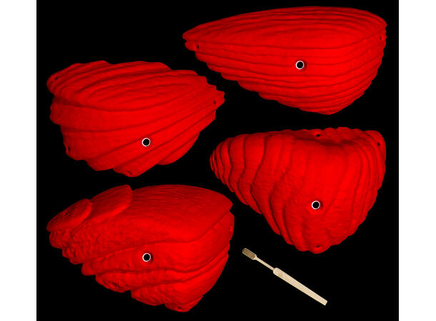 Core Grit Super Slopers brown 