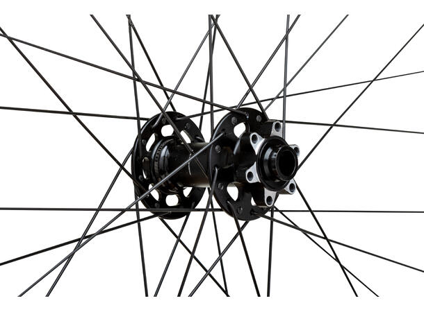 WTB Proterra Tough 29" 32h 