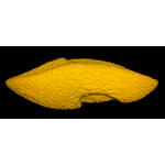 Core Font Super Volume biscuit 