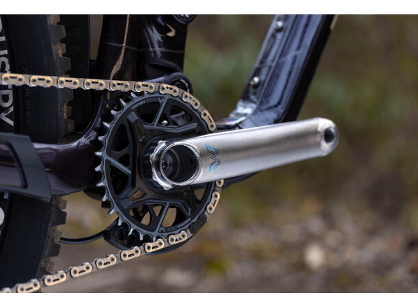 Cane Creek eeWings krankarmer MTB 160mm 