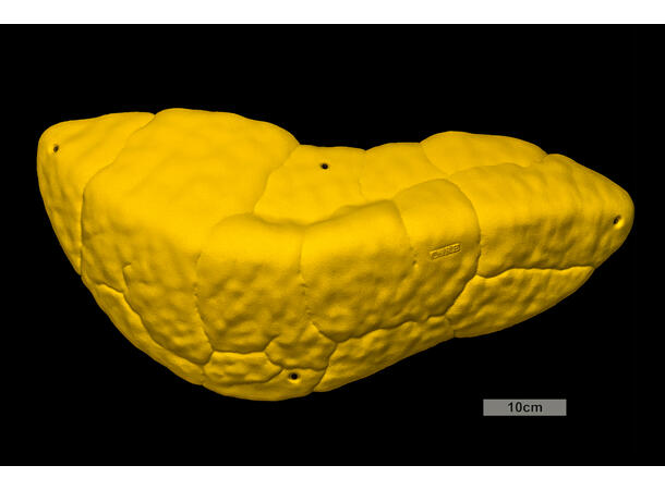 Core Font Mini Volume Arete 1 biscuit 