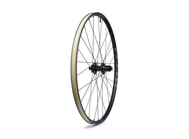 WTB Proterra Light i25 700c 28h Shimao HG 