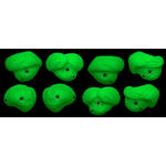 Core Core Easy Slopers lilac 