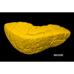 Core Font Mini Volume Arete 1 biscuit 