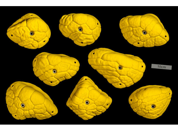 Core Font Hard Slopers biscuit 