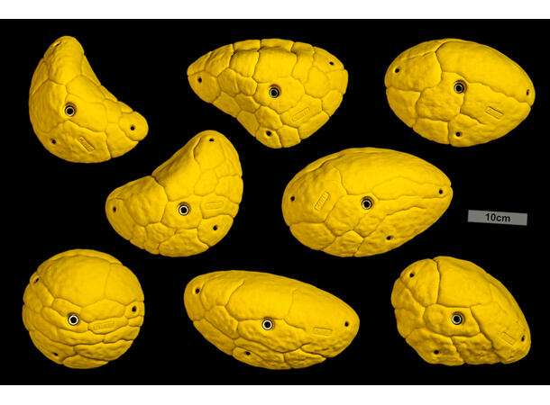 Core Font Hard Slopers biscuit 