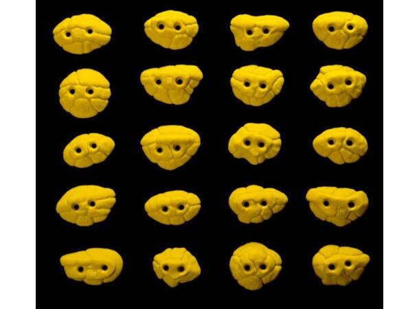 Core Font Screw-on Feet biscuit 