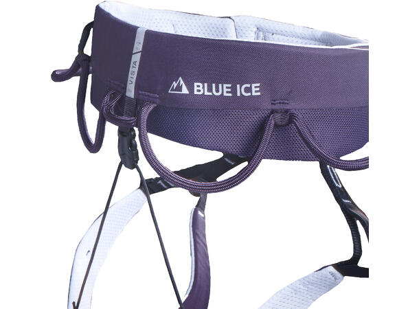 Blue Ice Vista ADJ w's night shade XS 