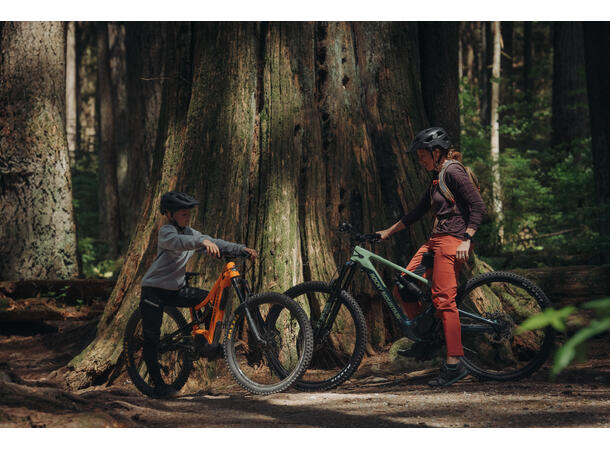 Rocky Mountain Reaper Powerplay 24" still of the night/ bad to the bone 24" 