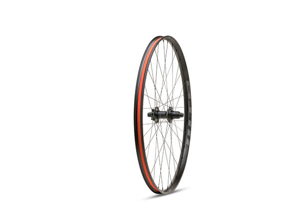 WTB Proterra Tough 29" 32h Sram XDR 