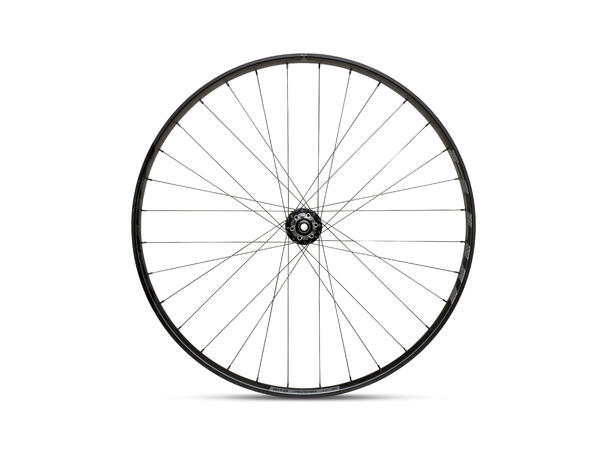 WTB Proterra Tough 29" 32h Sram XDR 