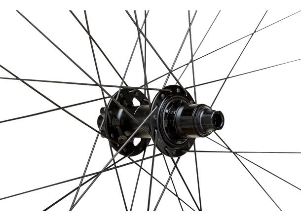 WTB Proterra Tough 29" 32h Sram XDR 