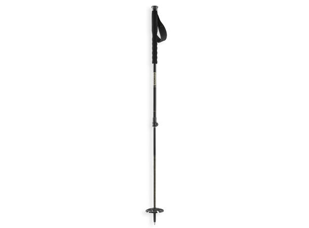 Corto Leone Carbon carbon teleskopstav med flott grep 