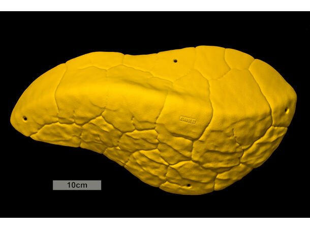 Core Font Mini Volume Arete 2 biscuit 