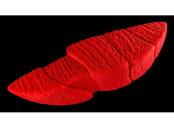 Core Grit Super Volume brown 