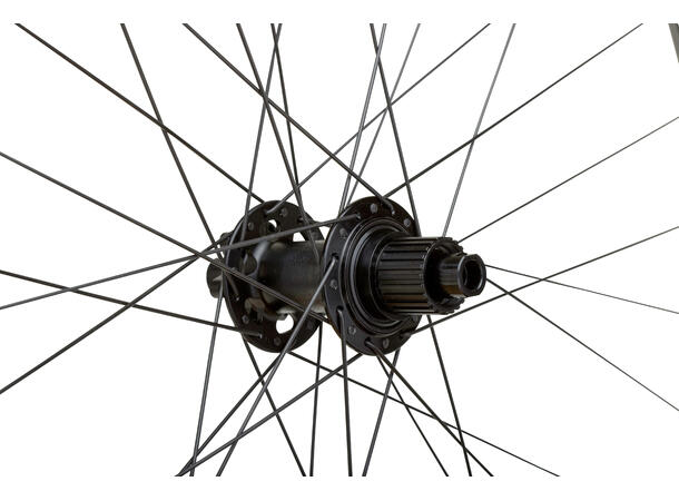 WTB Proterra Tough 29" 32h Shimano MS 