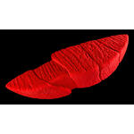 Core Grit Super Volume brown 